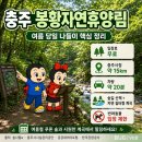 충주국토관리사무소 화장실 | 🐞 충주 봉황자연휴양림 입장료 무료, 주차·버스·반려동물까지 당일 나들이 정보