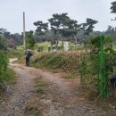 배다리경로당 이미지