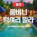 룸비니수영장 이미지