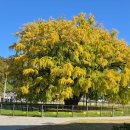 놀자당구장 이미지