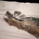 춘천별빛산골유학센터 이미지