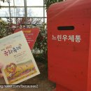 고북중학교 | 충남 서산 국화축제 혼자 놀기