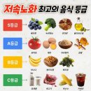 최고푸드