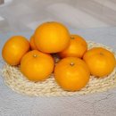 순연농장 이미지