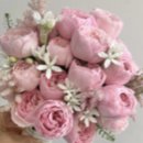 클린 케어(C.L.E.A.N. Care) 이미지