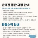 케이펫푸드 이미지
