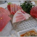 장도참치 이미지