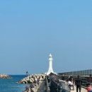 청호동 방파제 이미지