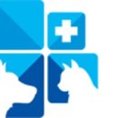 신세계동물의료센터 이미지