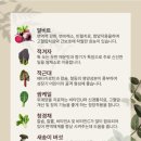 샤브향 문래점 네이버블로그