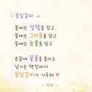 꽃잎 갈피 / 한섬 이미지