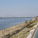 낙동강제방(1) 이미지