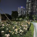 청라호수공원(제1주차장) 이미지