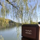 의림지장어촌본관 이미지