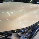 공룡모터스 이미지