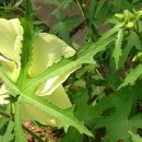 땅골농장 이미지