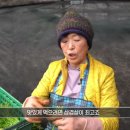 돈참새미 이미지
