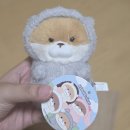 우소