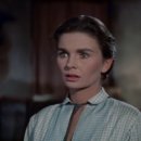 컨트리팜 이미지