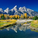 주립2농장 이미지