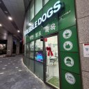 그루밍독스 | 금천구청역애견셀프목욕 24시 무인 카페 후기
