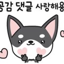 노랑꽃집 선물의 집 이미지