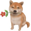 참살이콩이야기 이미지