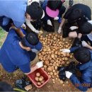 공음중학교 이미지