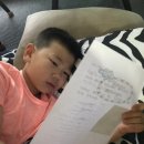 차시원 카카오 검색결과