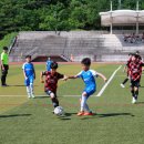 백암다목적운동장 이미지