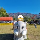 서울 근교 더존카라반글램핑, 가족과 함께하는 완벽한 자연 속 힐링 여행
