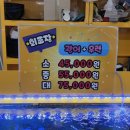 영흥로 | 영흥도맛집 공룡수산횟집｜영흥도회포장 싱싱함 끝판왕 후기