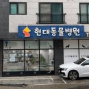 수청포근동물병원 이미지