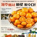 (주)메가마트 이미지