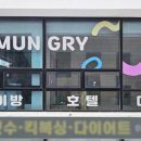 와다다 펫 그루밍 이미지