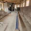 삼도 건축사 사무소 이미지