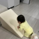 보정당 이미지