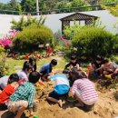 모래하늘 이미지