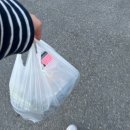 많을다족발