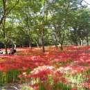 이시돌쉼터 이미지