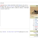 일오팔팔 이미지