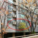 서울사대부속고등학교 이미지