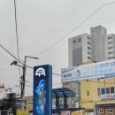 조은 | [부산/기장] 기장대게 기장시장맛집 &#39;조은대게&#39;후기