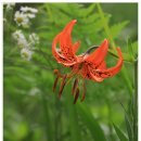 인화농장 이미지