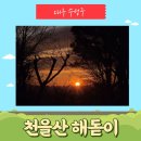 천을산 해맞이 | 천을산 해맞이 병오년 일출 보러 가기