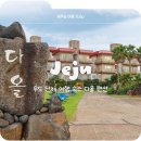 서신펜션 | 우도 단체 숙소 추천 뷰맛집 바베큐 가능 우도 다올펜션