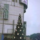 네일오운무드