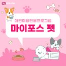 하나애견샵 이미지