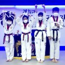 경희대강한태권도장 이미지