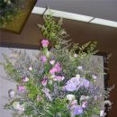 밀드플레 이미지